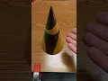 What are Conic Sections