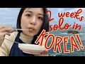 SOLO IN KOREA: exploring 3 hours outside of Seoul | hiking \u0026 eating in Seoraksan, Sokcho, Gangneung