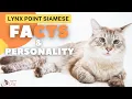 Lynx Point Siamese Facts Personality