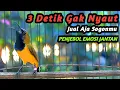 Lagu GAK BUTUH LAMA  ! MASTERAN SOGON GACOR FULL ISIAN BIKIN TROTOl CEPAT GACOR