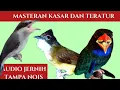 Download Lagu masteran kasar dan sadis | jinjing petulak, cucak jenggot \u0026 tengkek buto