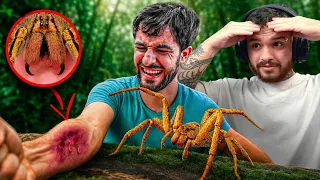 O Cara Deixou uma ARANHA ARMADEIRA Picar Ele... (quase deu m*rda) - React Dilane Salvaje