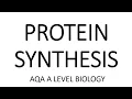 PROTEIN SYNTHESIS - AQA A LEVEL BIOLOGY EXAM QUESTION RUN THROUGH