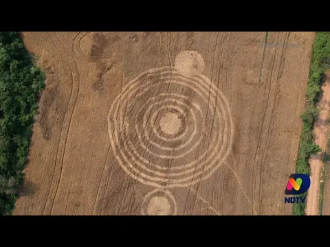 Círculos misteriosos surgem em propriedade de Entre Rios