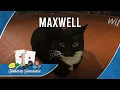 Maxwell or how to save objects in Tabletop Simulator Custom Coverage