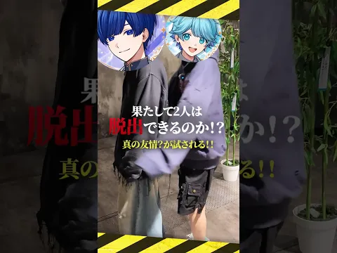 【青組絶叫】不仲2人を監禁モニタリングしてみた #いれいす #イレギュラールーム