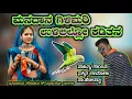 Lagu ಮನದಾನ ಗಿಳಿಮರಿ ಉಳಿಲಿಲ್ಲೋ ಕಡಿತನ/manadan gilimari ulilillo kaditan/#Fakkirudoji janapad song