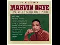 How Sweet It Is (To Be Loved By You) - Marvin Gaye