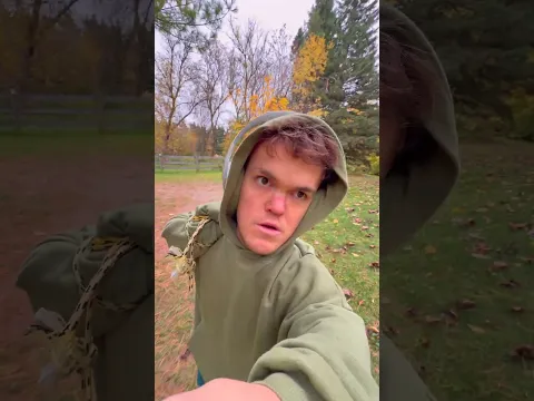 How Big Can a Leaf Pile Actually Get?