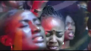 peterson okopi 12 days of glory coza 12dg 2022