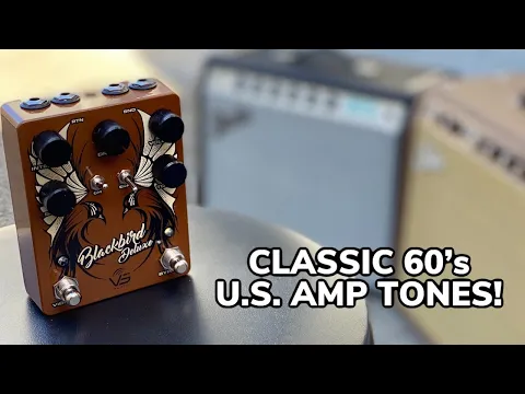 Vs Audio BlackBird Deluxe Drive + Tremolo | Delicious Audio