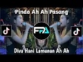 Download Lagu PINDO AH AH PASANG | LAMUNAN AH AH VIRAL TIKTOK 2024 !