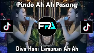 Download PINDO AH AH PASANG | LAMUNAN AH AH VIRAL TIKTOK 2024 ! MP3