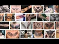 Best Wing Tattoos for Men