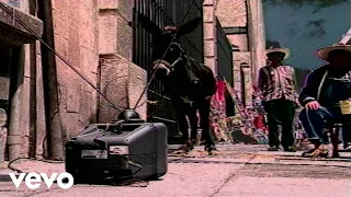 Molotov Que No Te Haga Bobo Jacobo 