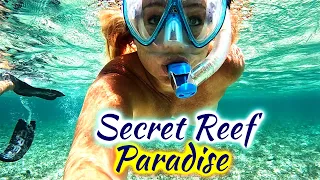 SDA200 The Most Colorful Reef We’ve Ever Seen at Raccoon Cay