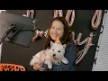 Chicago s Best Pet-friendly Spots SEE Chicago