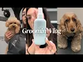 Mobile Groomer Work Day Catch Up Product Review