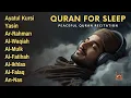 Download Lagu Beautiful Quran Recitation for deep sleep I Ayat al kursi,Yasin,Arrahman,AlWaqiah,Almulk | Alaa Aqel