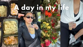 A day in my life: grocery shopping, meal prepping + vlog