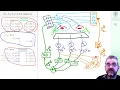 SVD Decoupling Case Study 5 3 Controlled vars 4 Manipulated