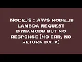 NodeJS AWS node js lambda request dynamodb but no response no err no return data