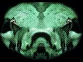 Download Lagu OneShot - Kafkaesque (Original Mix)