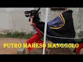 Download Lagu Mberot bareng bantengan Putro Maheso Manggolo full kalapan