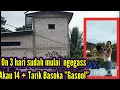 Download Lagu Suara walet yang bikin walet jinak masuk Lmb  ||  Akau 14 Tarikannya Gaspol