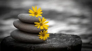 تلاوة تهتز لها القلوب سورة البقرة أحمد سعيد العمراني Surat Al Baqarah  تلاوة تهتز لها القلوب سورة البقرة أحمد سعيد العمراني Surat Al Baqarah