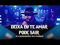 Download Lagu Deixa Eu Te Amar/Pode Sair - O Garanhão Do Forró 