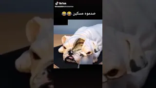 ياعيني ده اتصدم 