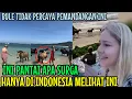 Download Lagu BUITENLANDERS ZIJN VERBAASD! ER ZIJN WILDE PAARDEN OP INDONESISCHE STRANDEN
