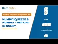 Numpy Squeeze function in Python Numpy Python Tutorial