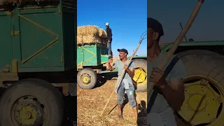 موسم الحصاد على أنغام أيوب البداري 