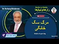 Download Lagu Show 6118 مرگ سگ خانگی