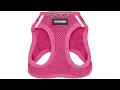 Voyager Step-in Air Dog Harness Review Is It Worth the Hype for Small Medium Pets
