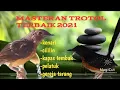 Download Lagu masteran trotol terbaik pilihan juri -sepanjang massa
