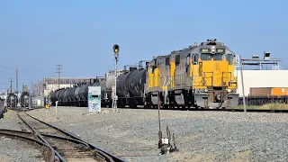Union Pacific Local Yard Switching Throughout Los Angeles CA