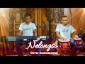 Download Lagu NELONGSO - COVER INSTRUMENTAL - KARAOKE - CEK SOUND (EVIE TAMALA) PA-300 - COVER DANGDUT KOPLO