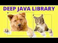 DEEP JAVA LIBRARY EXPLAIN AMAZON EXAMPLE JAVA CODE DOG CAT DEEP LEARNING CODE InterviewDOT