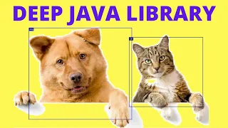 DEEP JAVA LIBRARY EXPLAIN AMAZON EXAMPLE JAVA CODE DOG CAT DEEP LEARNING CODE InterviewDOT