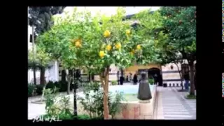 ويمر   بي طيفها وتسكن  الأحلام   آدم دندنها