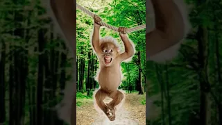 وتلم القرد علي النسناس وقعد يجيب سيره الناس 