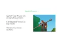 Basic vs Applied Research
