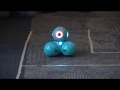Coding with Dash Robots