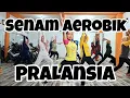 Download Lagu SENAM AEROBIK PEMULA MUSIK TERBARU 2025