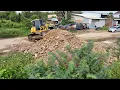 Download Lagu Dump Trucks 25.5T With SHANTUI DH17C2 DOZER By Processing LAND Fill Pushing Stone Soil