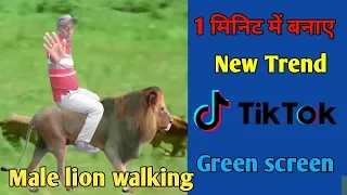 male lion walking on green screen tiktok new trend editing kinemaster technicalafsar 2020 21