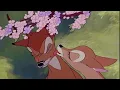 Bambi - Bambi gets twitterpated